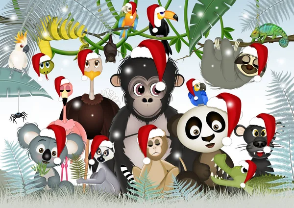 illustration of tropical animals at Christmas