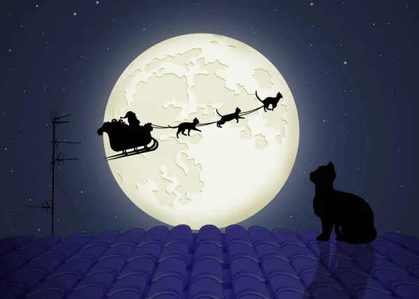 圣诞老人的雪橇和猫 — 图库照片