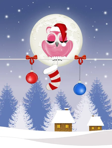 Illustration Owl Celebrate Christmas — 图库照片