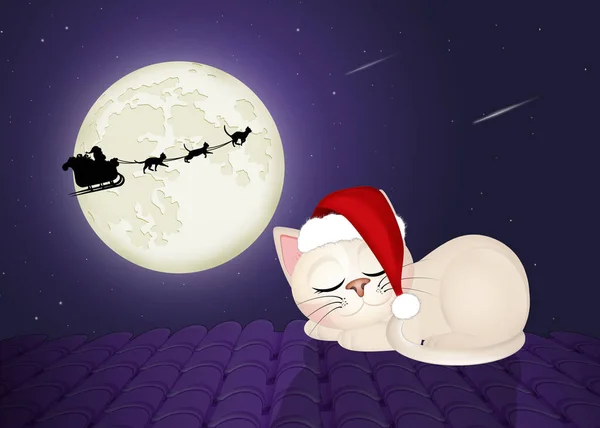 圣诞老人雪橇与猫的滑稽例证 — 图库照片