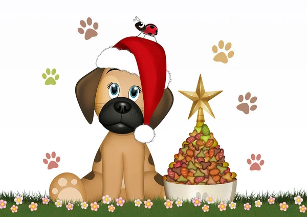 Perro Celebra Navidad Hace Árbol Con Croquetas —  Fotos de Stock