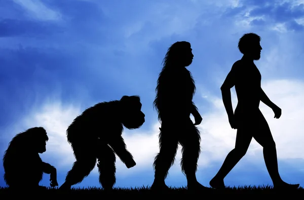 Ilustración Evolución Humana — Foto de Stock