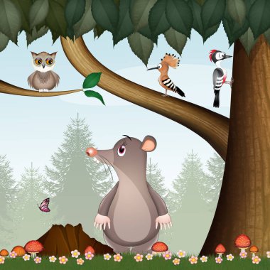 illustration of mole in the woods