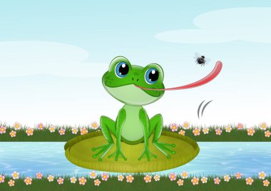 Kurbağa, böcekleri diliyle yakalar.