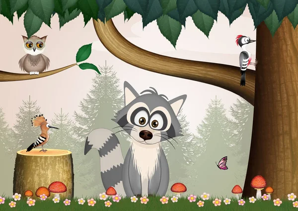 Illustration Raccoon Woods — Stok fotoğraf