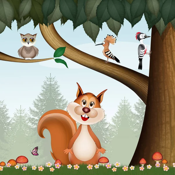 Illustration Squirrel Woods — Stockfoto