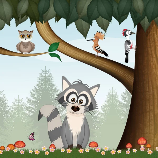 Illustration Raccoon Woods — Stockfoto