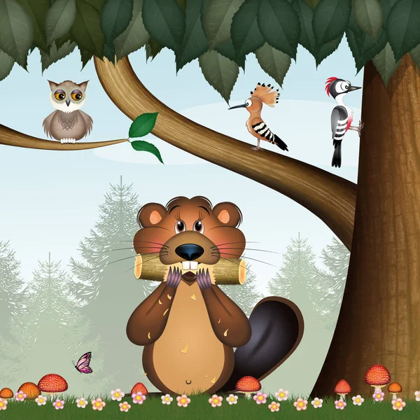 Illustration Marmot Woods — Stockfoto