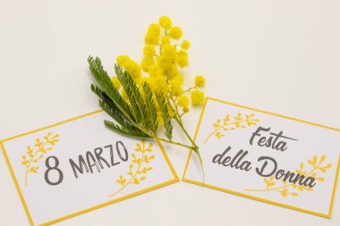 Kadınlar Günü için çiçek Mimoza