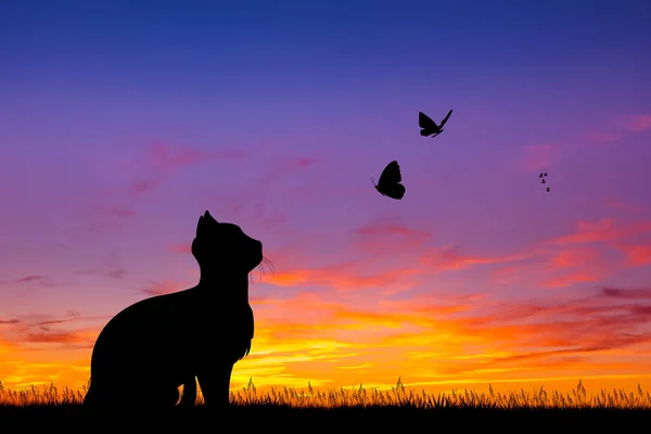 Illustration Der Katze Bei Sonnenuntergang — Stockfoto