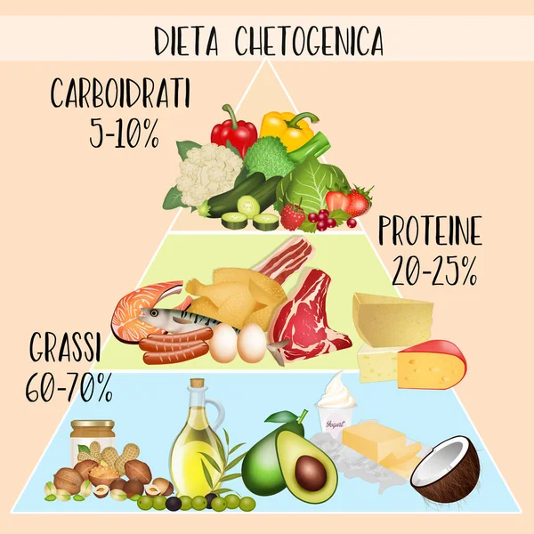 Ilustración Macronutrientes Dieta Cetogénica — Foto de Stock