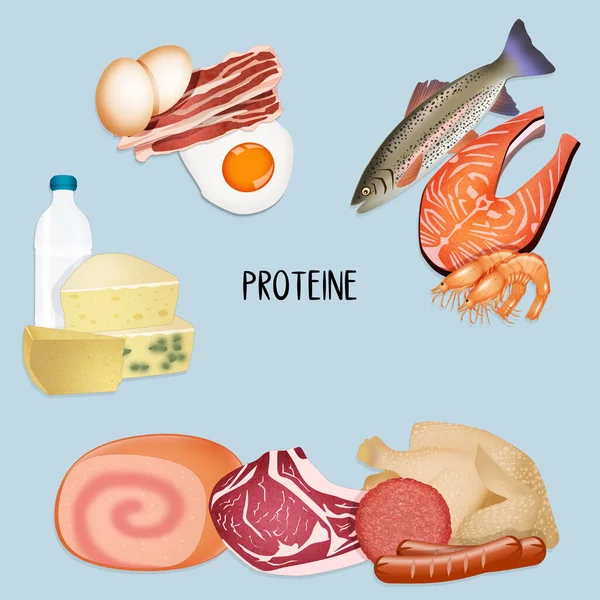 饮食中蛋白质的图解 — 图库照片