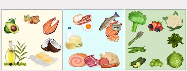Illustrazione Schema Della Dieta Ketogenic — Foto Stock