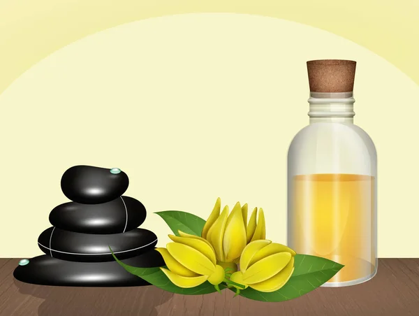 Illustration Von Ylang Ylang — Stockfoto