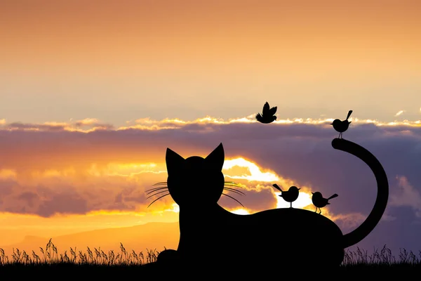 Illustration Cat Silhouette Sunset – stockfoto