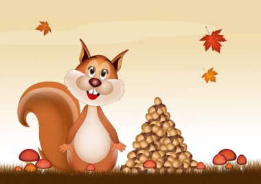 Illustration of squirrel with acorns