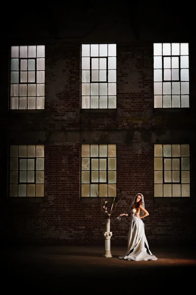 ベイルの花嫁 — ストック写真