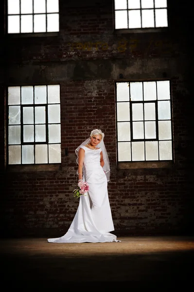 ベイルの花嫁 — ストック写真