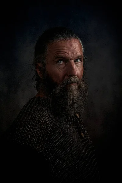 Vousatý Viking Válečník Kroužkové Zbroji Zblízka Stock Fotografie