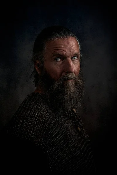 Bearded Viking Războinic Lanț Aproape Fotografie de stoc