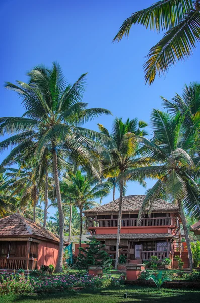 Cottages in a palm grove. Varkala, Kerala, India. — Stock Photo, Image