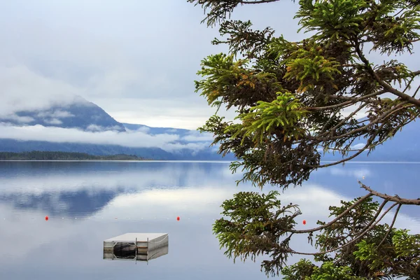 Lac bleu montagne — Photo