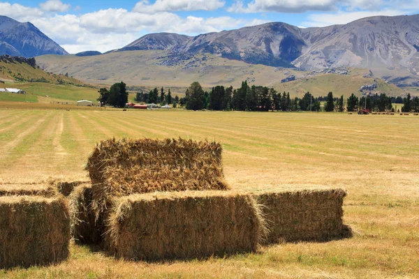 Lanscape with haystacks — Stock Photo, Image