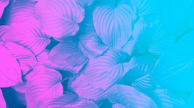 Neon renkli yapraklarla yapılan soyut arkaplan.