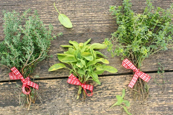 Medicinal herbs — Stock Photo, Image