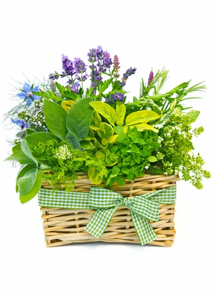 Basket of herbs — Stock Photo, Image