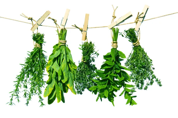 Fresh herbs — Stock Photo, Image