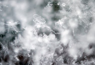 buz kristalleri, aşırı closeup. Makro