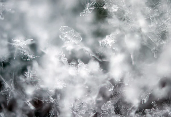 buz kristalleri, aşırı closeup. Makro