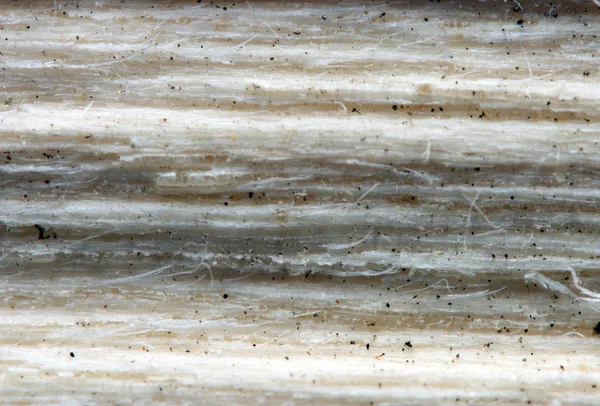 Деревянная текстура. Макро. Экстремальный крупный план — стоковое фото