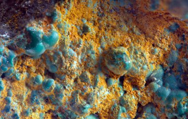 malakit de bakır breed.macro