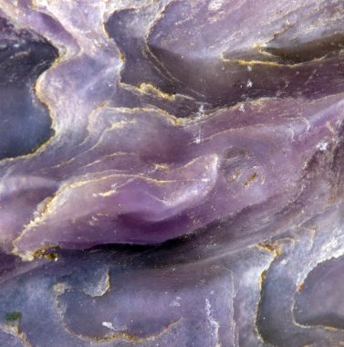 Charoite is a rare silicate mineral clipart