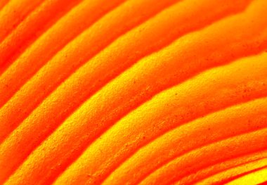 Crystal, arka plan, makro, aşırı closeup