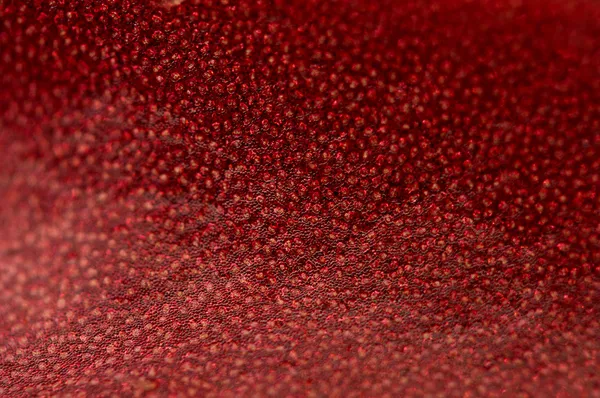 Abstrato fundo vermelho, folha de planta, macro. Extrema aproximação — Fotografia de Stock