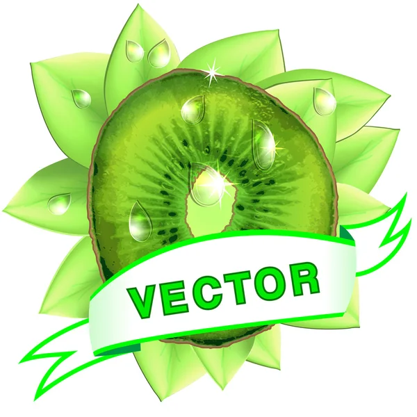 Image vectorielle, kiwi avec feuilles, gouttes et ruban sur fond blanc — Image vectorielle