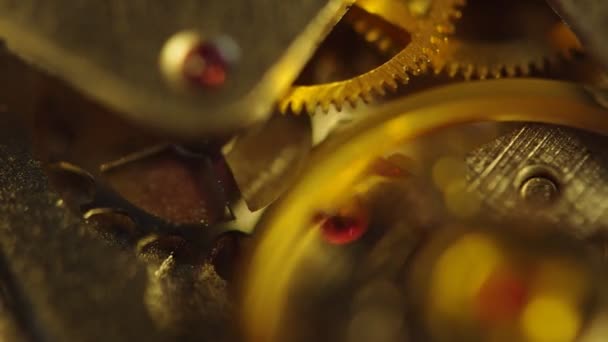 Metal gear wheel. Macro . Extreme closeup — Stock Video