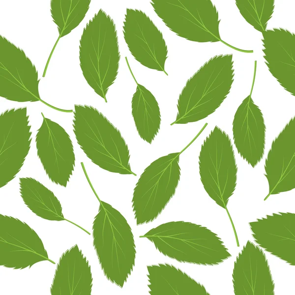 Ilustración vectorial patrón sin costura hojas verdes en el respaldo blanco — Archivo Imágenes Vectoriales