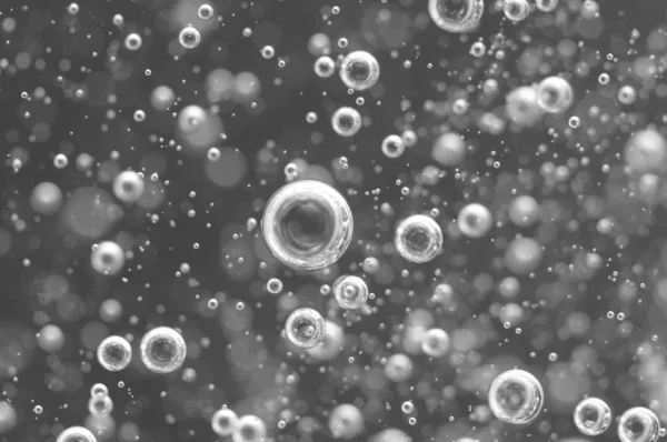 Sıvı hava kabarcıkları. siyah-beyaz arka plan