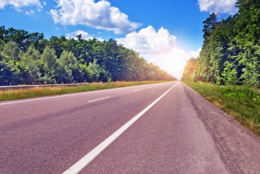 Yazın ağaçların arasında güneşe giden yol.