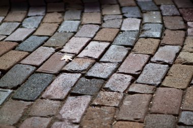 arnavut kaldırımlı sokak