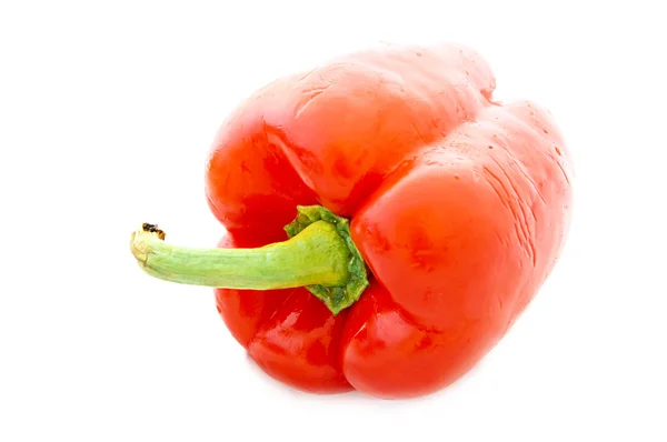 Sweet red pepper Stock Image