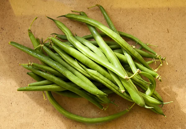 Asparagus beans — Stock Photo, Image
