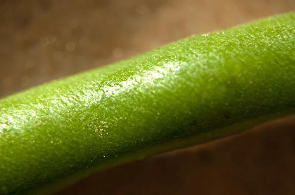 Feijão de espargos — Fotografia de Stock