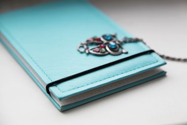 Mavi fotoğraf albümü. anılar