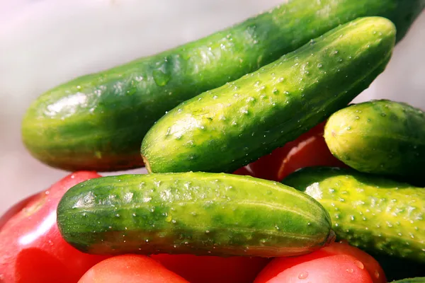 Cucumbers and tomatoes — Stock Photo, Image