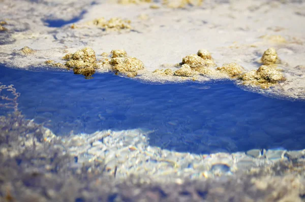 Sea bed. Reflection of the ocean waves mirrored on the sandy bottom — Stock Photo, Image